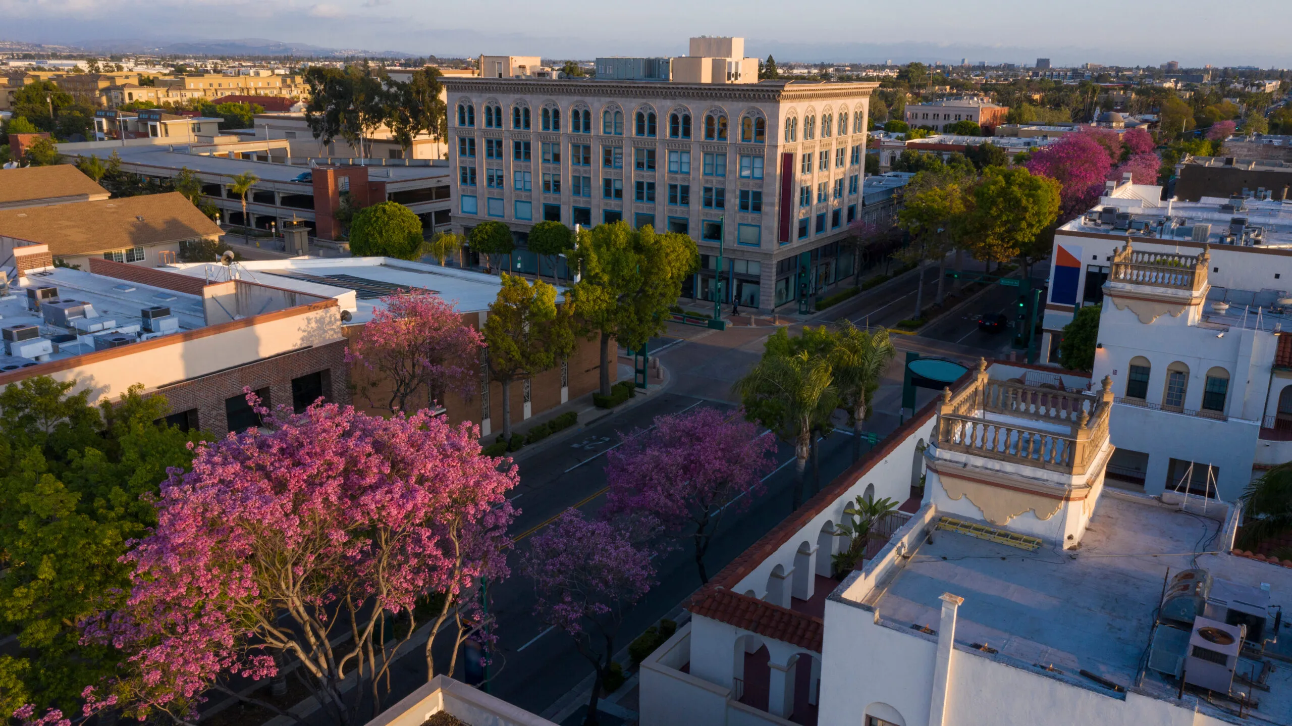 Aerial view of Fullerton, CA, showcasing blooming pink trees, historic architecture, and vibrant city streets, ideal for post-appointment exploration.
